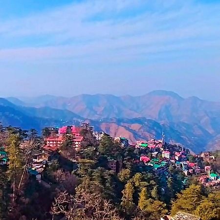 The Travelista Shimla住宿加早餐旅馆 外观 照片