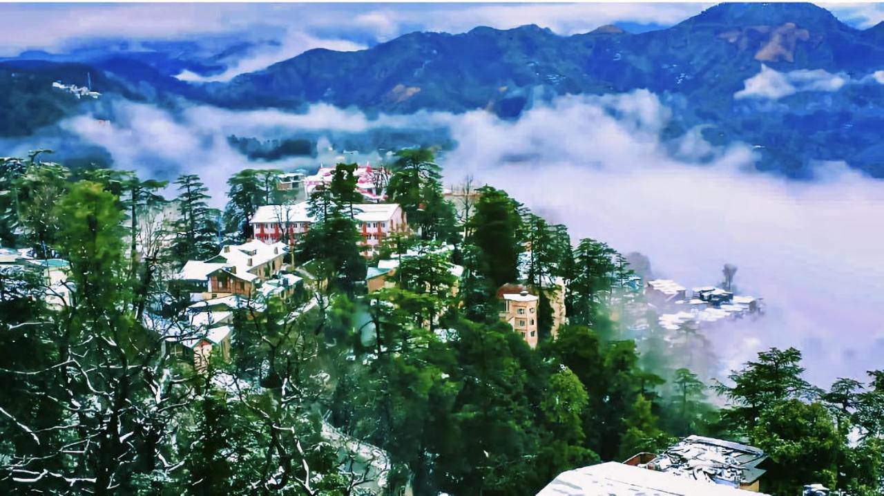 The Travelista Shimla住宿加早餐旅馆 外观 照片